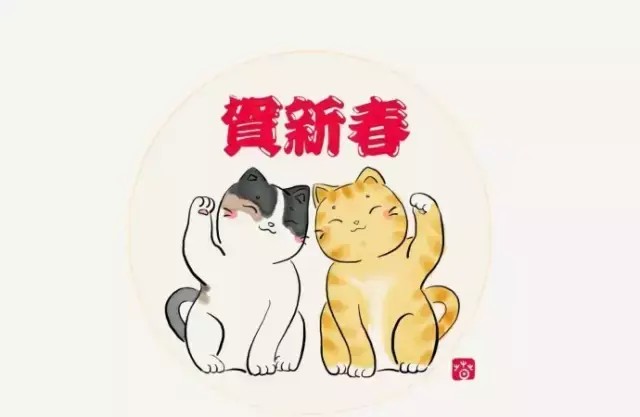 嫉妒！边上班边rua猫！西安这些有身份的猫猫狗狗太萌了