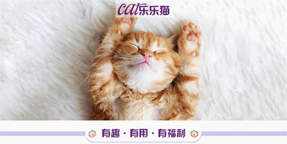 除了猫粮，这4类食物不仅美味猫咪还能越吃越健康